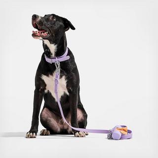 Waterproof Dog Collar