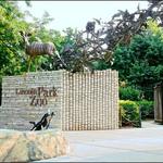 Lincoln Park Zoo
