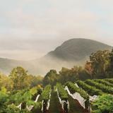 Wineries