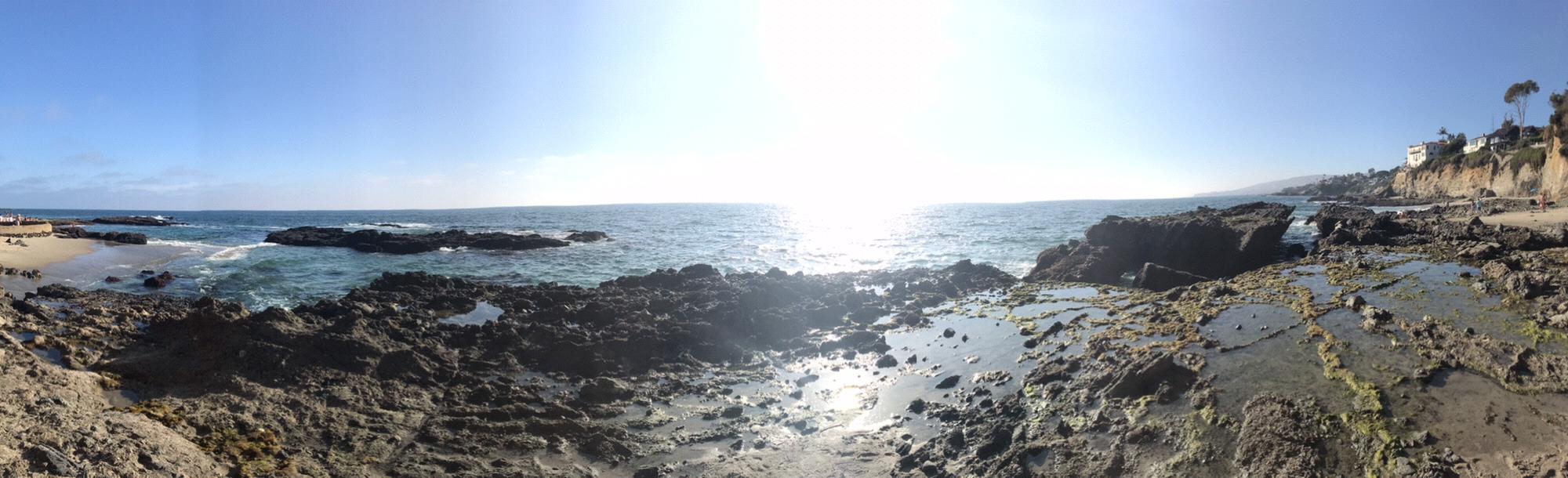 Cristal took this panorama seconds before Ralphy proposed.