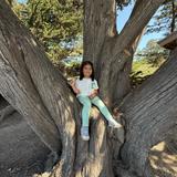 Point Lobos State Natural Reserve