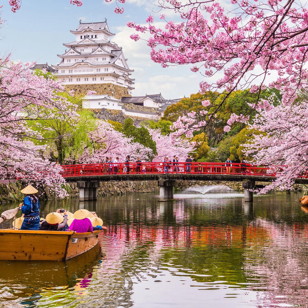 Honeymoon Japan