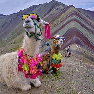 Venicunca (Rainbow Mt) Tour