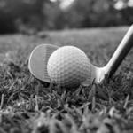 Fox Hills Golf