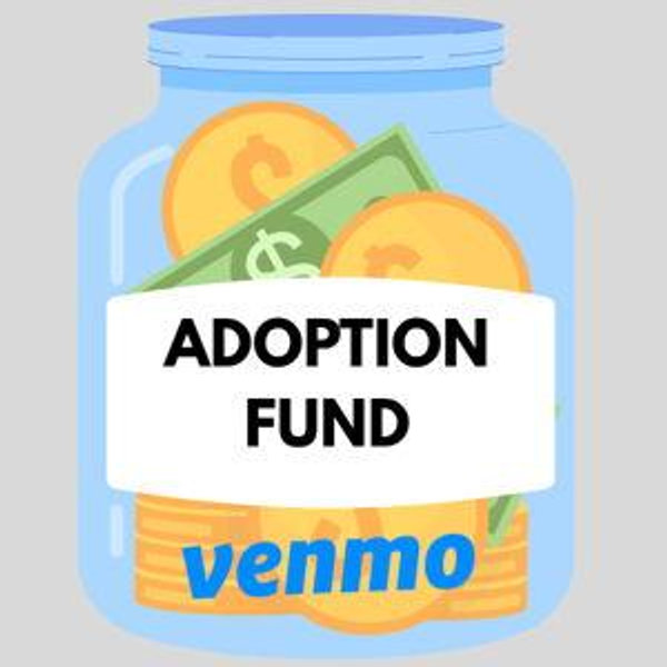 Adoption Fund (Contribute w/ Venmo)