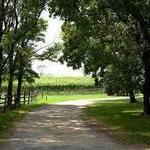 Auburn Road Vineyard & Winery