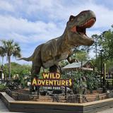 Wild Adventures