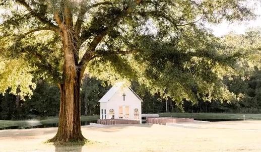 The Wedding Website of Cheryl Robertson and Brian Arabie
