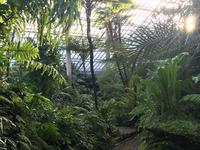 Garfield Park Conservatory