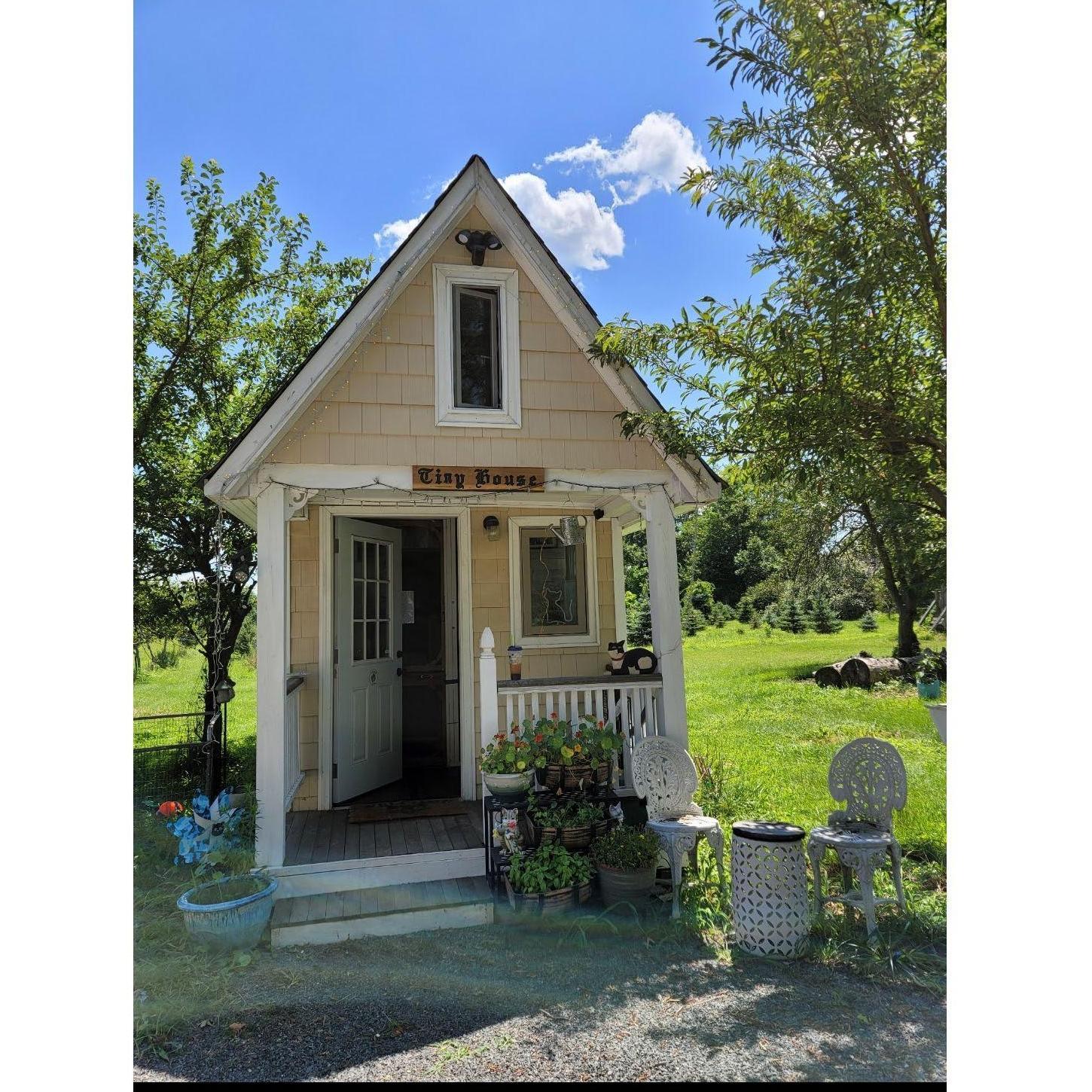 be sure to visit Tiny Kitten House! located here on the property.