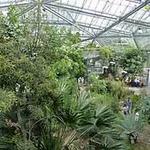 📌 EXPLORE @ State Botanical Garden