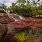 Caño Cristales