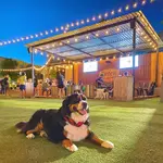 Fetch Park O4W