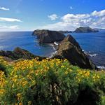 Island Packers Cruises & Ventura Harbor