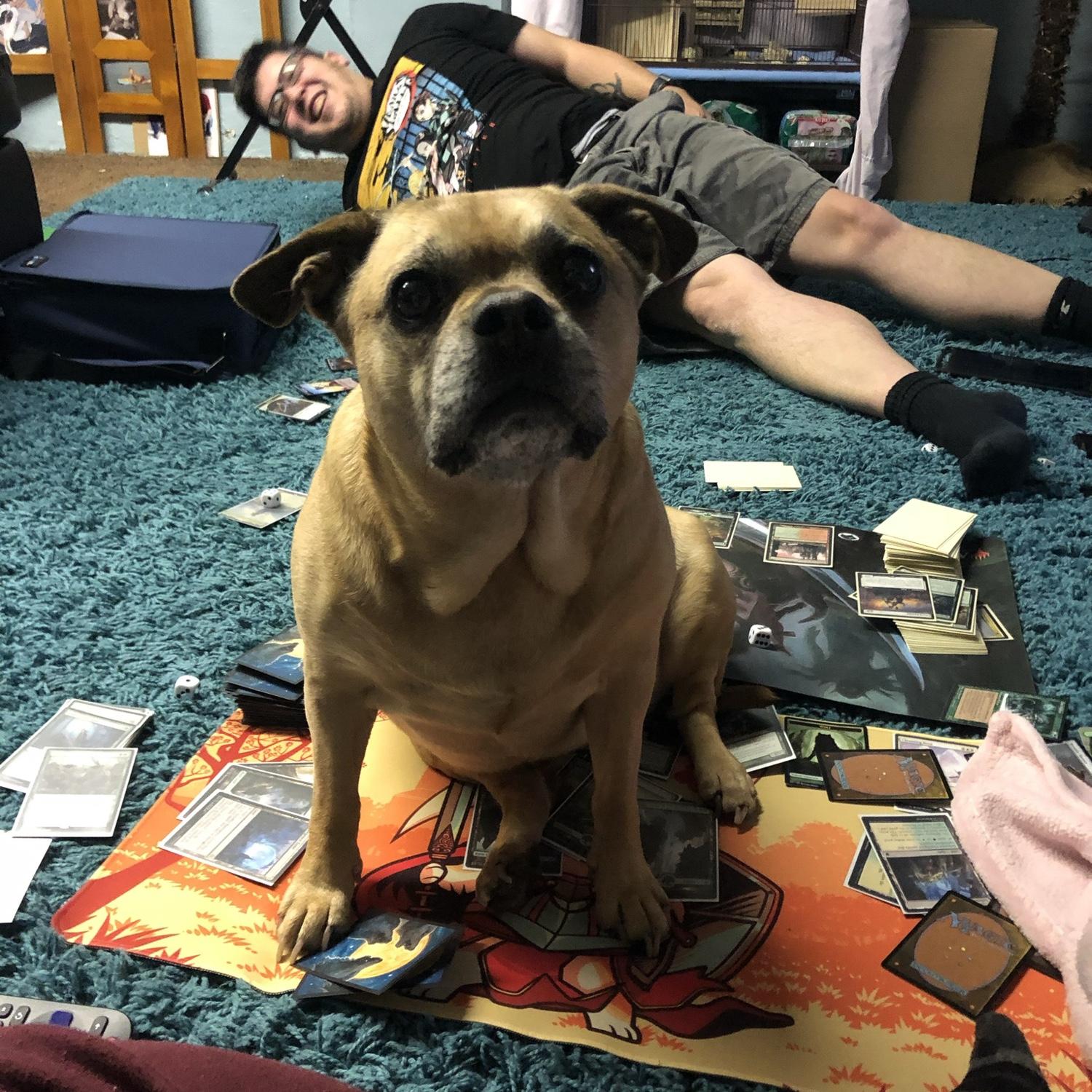Foul ~ give attention to me