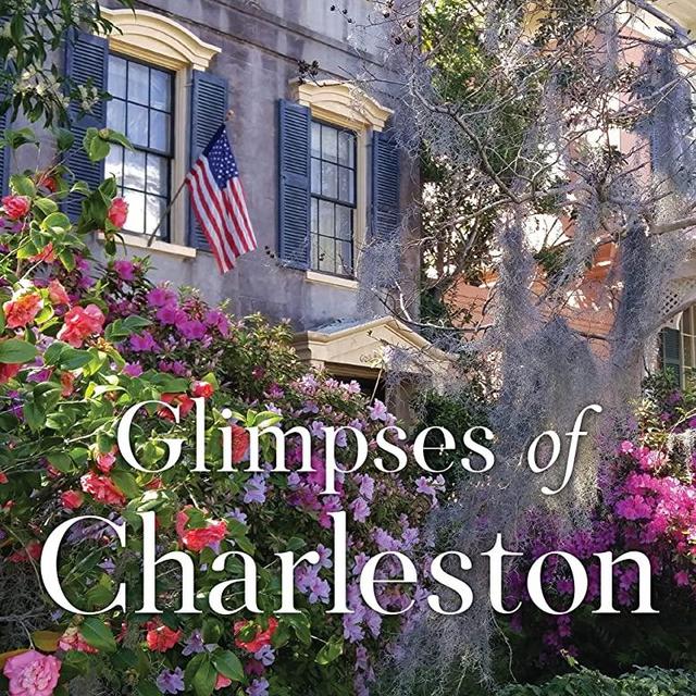Glimpses of Charleston