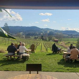 Willamette Valley Wine Tour