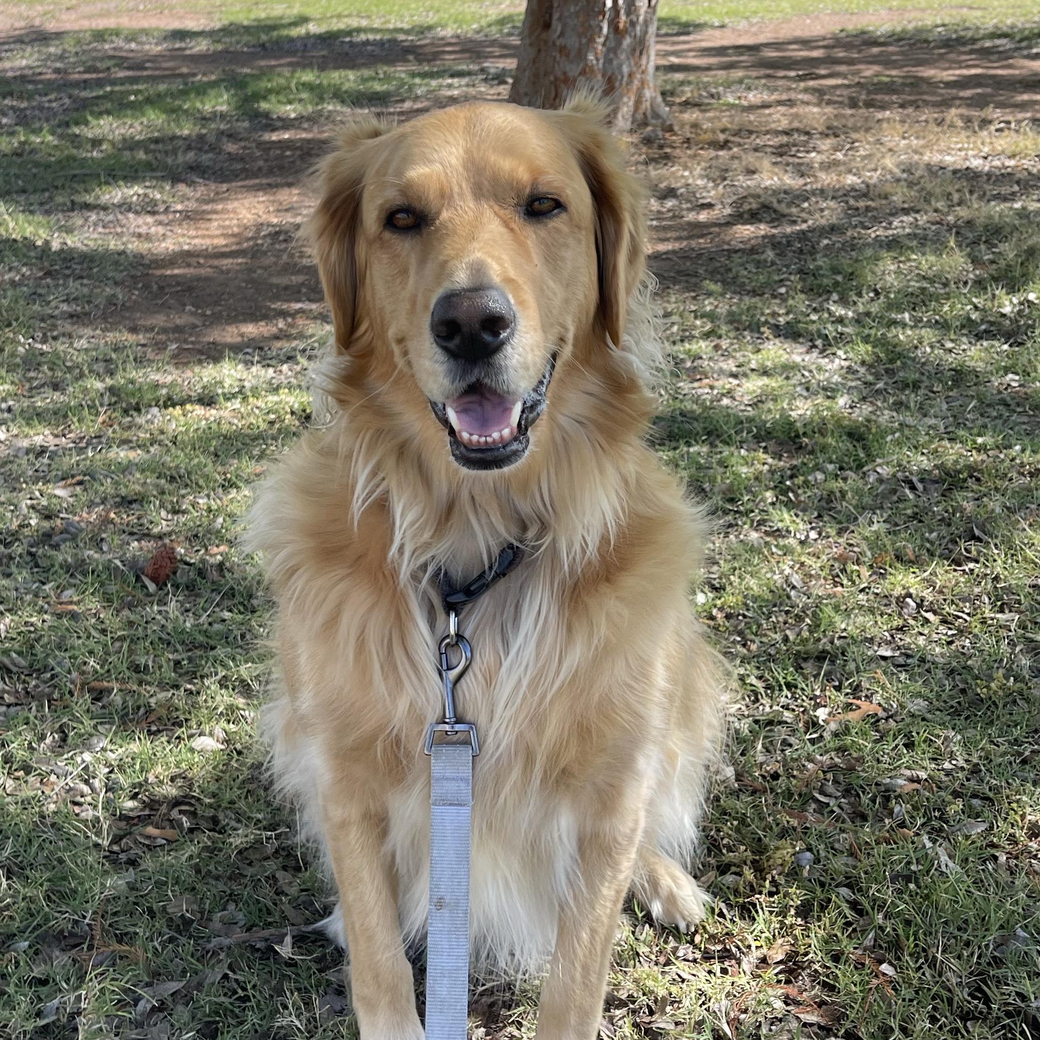 Year's Supply Of Famers Dog Food