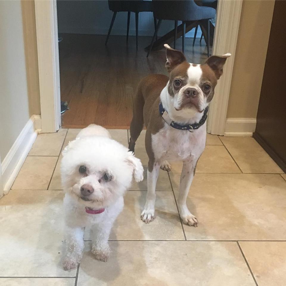 They can't come, so we had to include them somewhere.