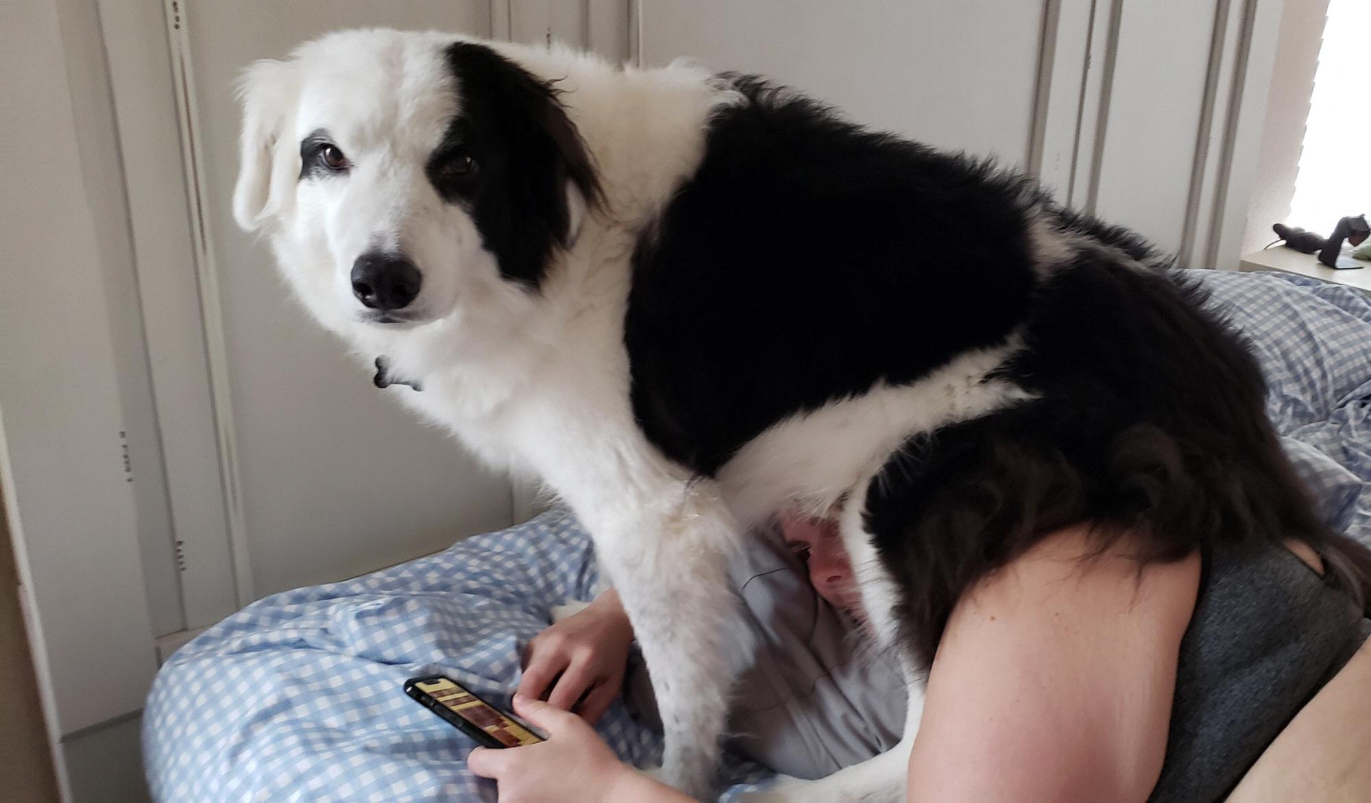 When your son is concerned COVID 19 is not enough to keep you in bed . . . keep in mind Allie had to snap this pic before telling him to get off!