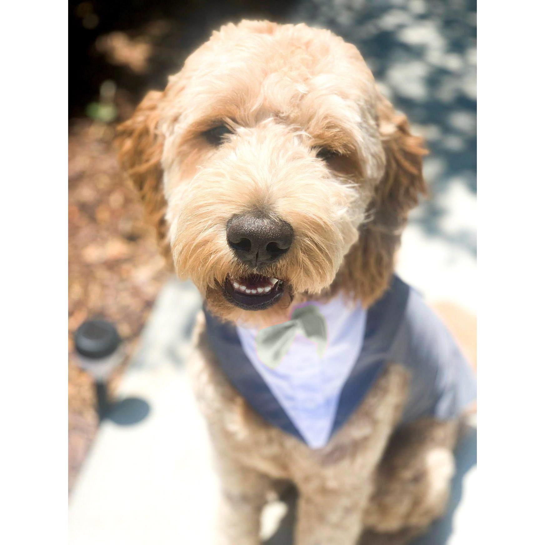 The Best'est Man: Winston