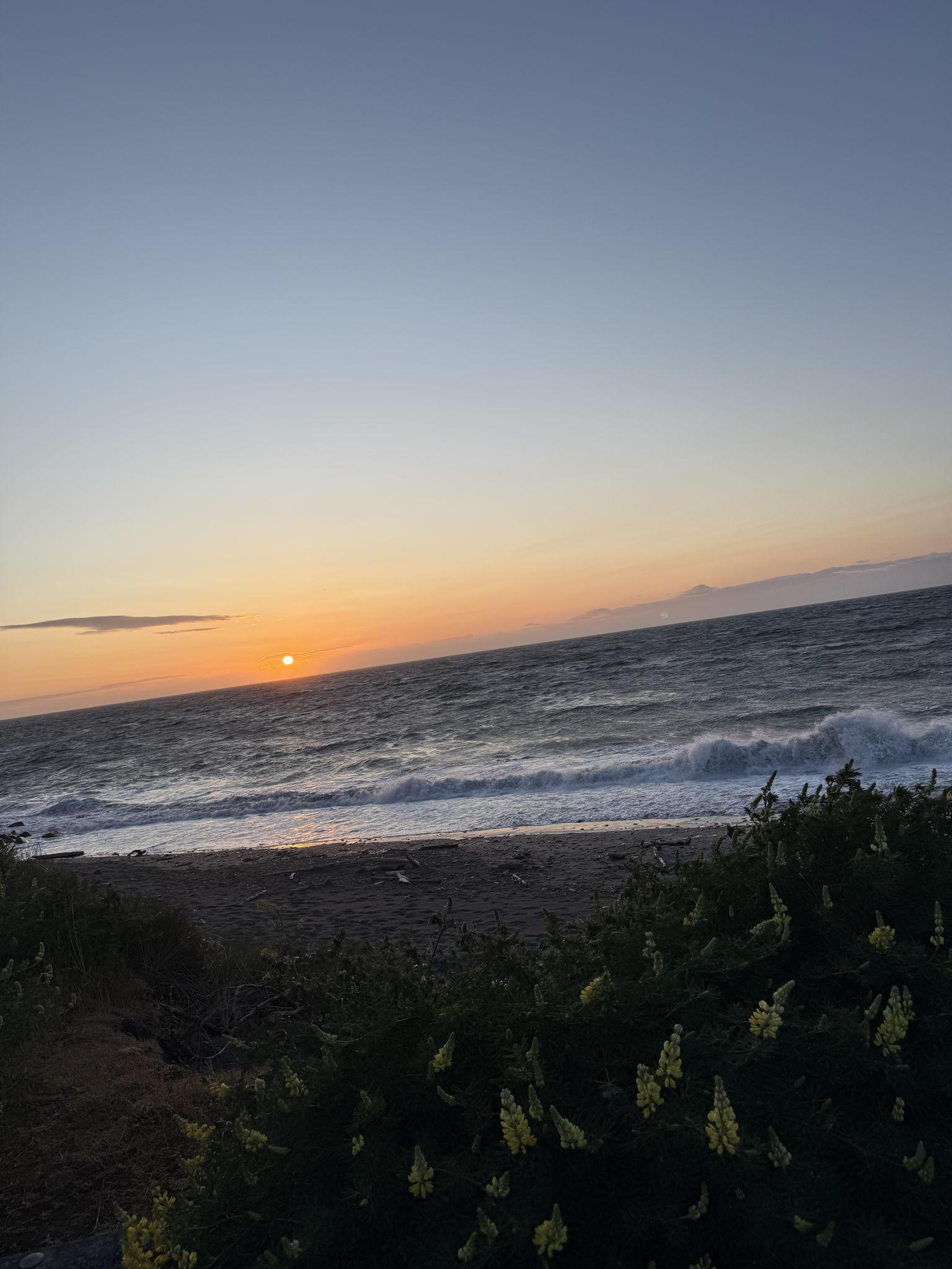 The Wedding Website of Avery Douglas and Joseph Walvatne