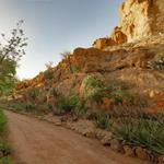 Boyce Thompson Arboretum
