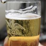 Budweiser Brewery Experience