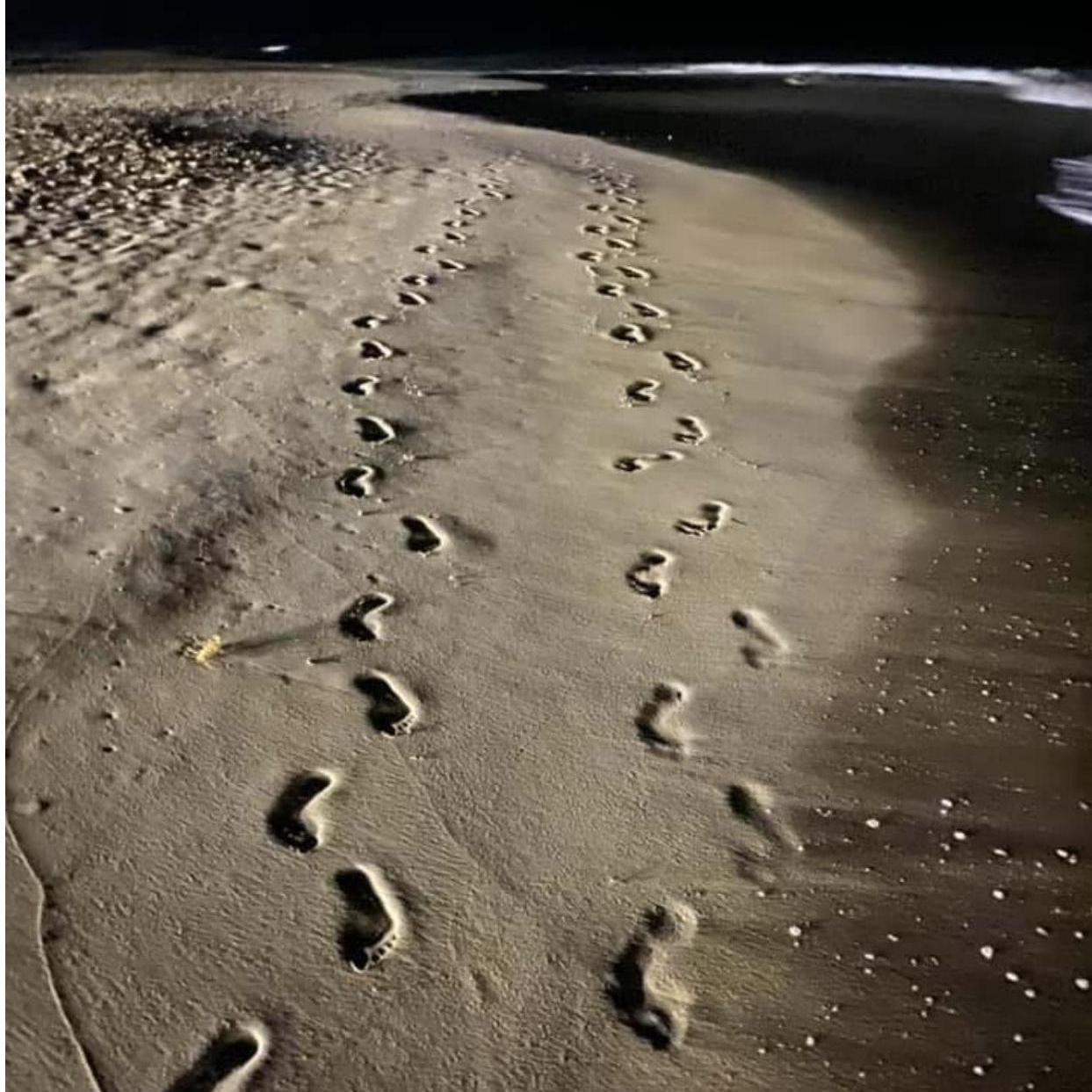 Our footsteps on the beach! 🦶 🦶
