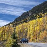 Guanella Pass - Fall colors