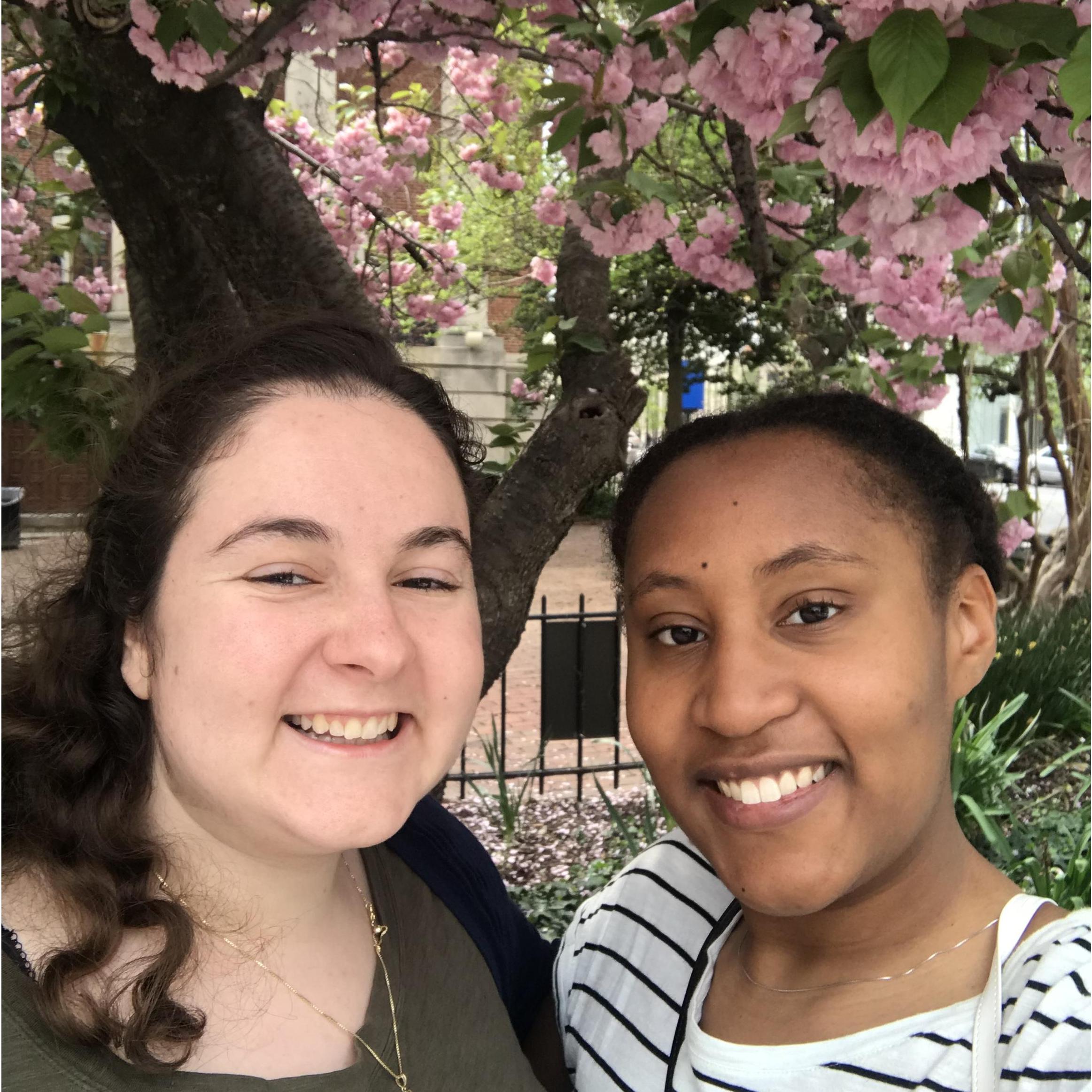 D.C. Cherry Blossom Festival