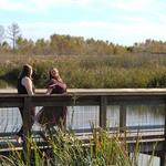 Sweetwater Wetlands Park