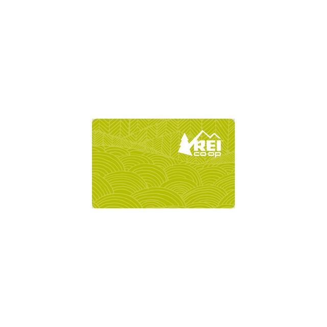 REI $50 (Email Delievery)