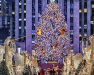 Rockefeller Center Tree