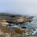 Point Lobos State Natural Reserve
