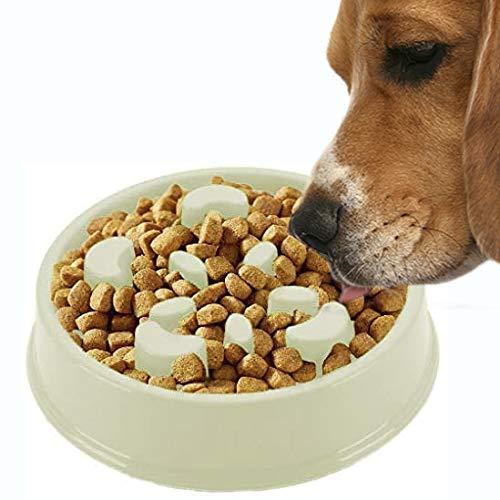 Meric Slow Dog Feed Bowl, Pastel Green Color, Promotes Interactive, Slow Eating, Non-Slip Design, Controls Hunger, 1-Piece