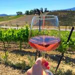 Wine Tasting in Temecula