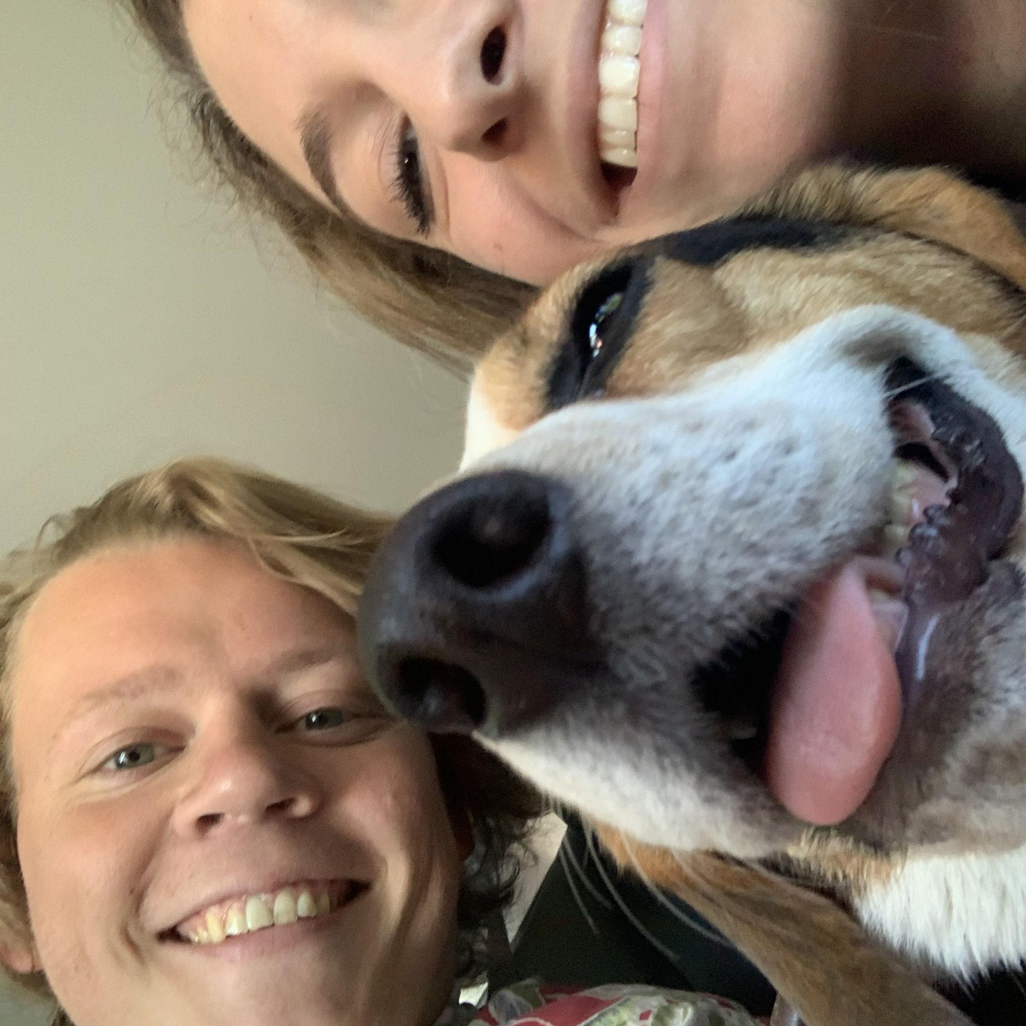 Road trips with Ziggy Frank