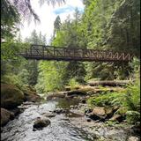Lacamas Creek Trailhead