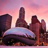 Chicago Bean