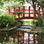 Miami Beach Botanical Garden