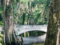 Magnolia Plantation and Gardens