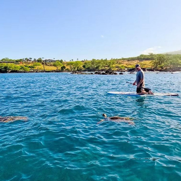 Paddleboard Rental