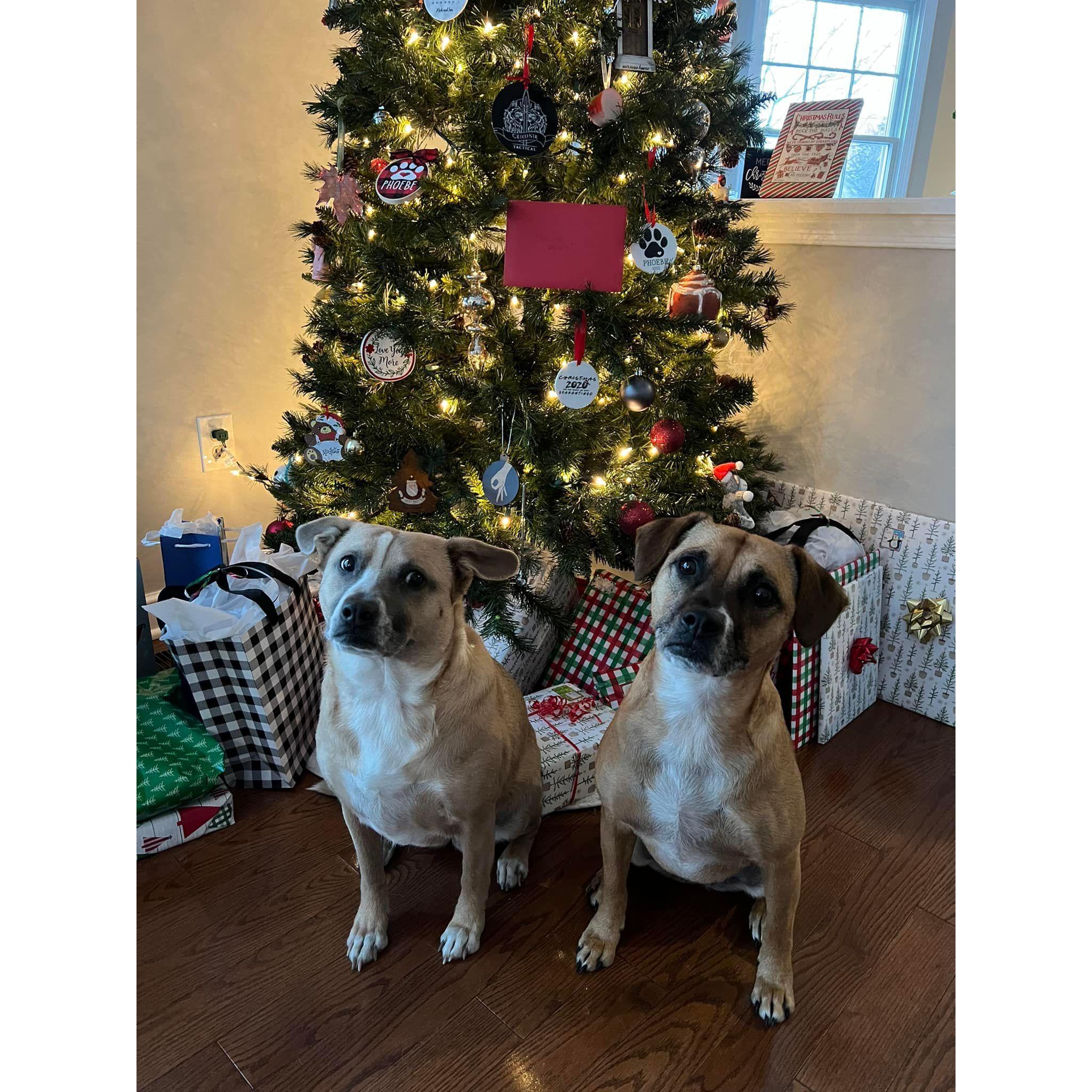 Piper and Phoebe are our two favorite ladies in the whole wide world and we couldn't pass up a chance to show them off once again.