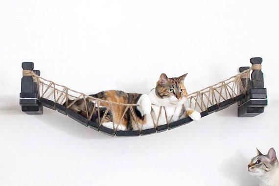 Cat Mod – Bridge