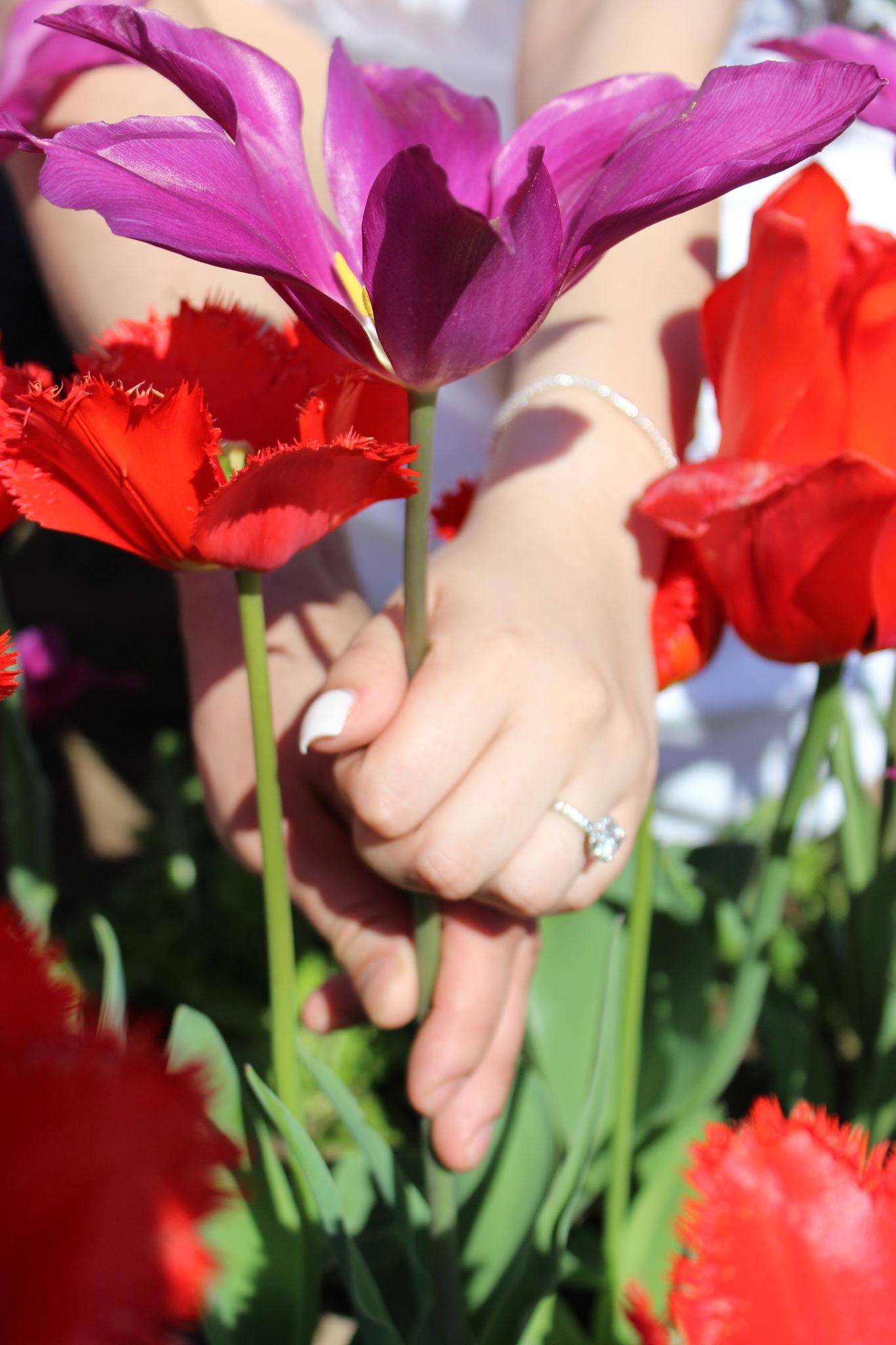 The Wedding Website of Jasmine Gutierrez and Ramiro Valencia