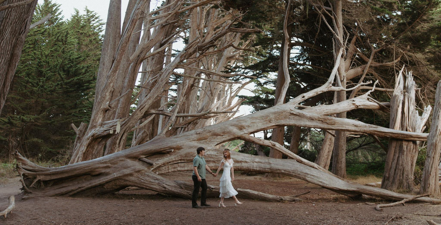 The Wedding Website of Catalina Victoria Pesso and Jacob Samuel Salden