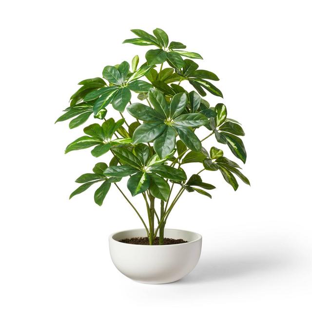 22.5" x 14" Artificial Umbrella Plant in Pot White - Hilton Carter for Target