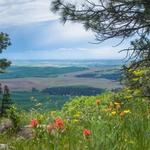 Kamiak Butte County Park