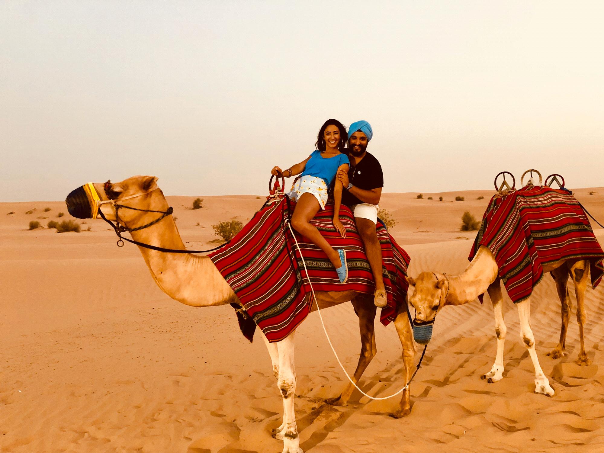 Camel ride in the desert of Dubaï